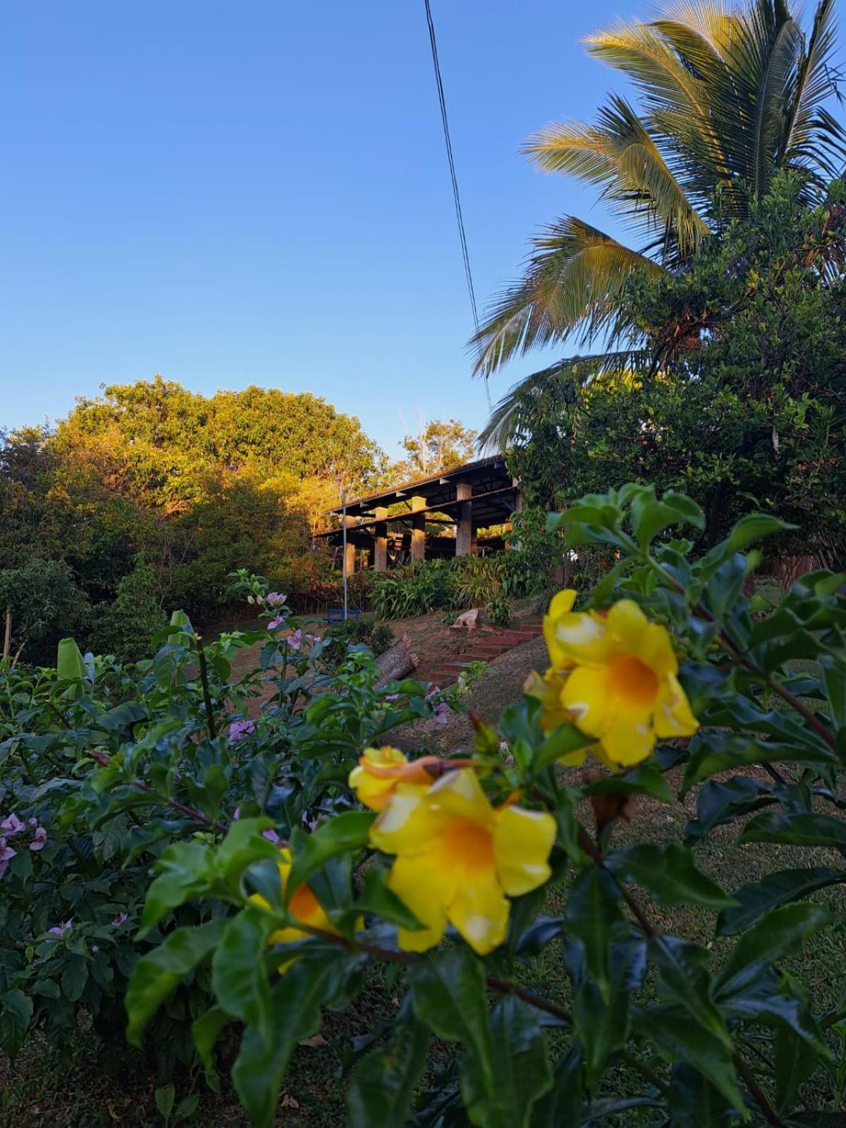 Serenity By Nature Carrillos Exteriör bild